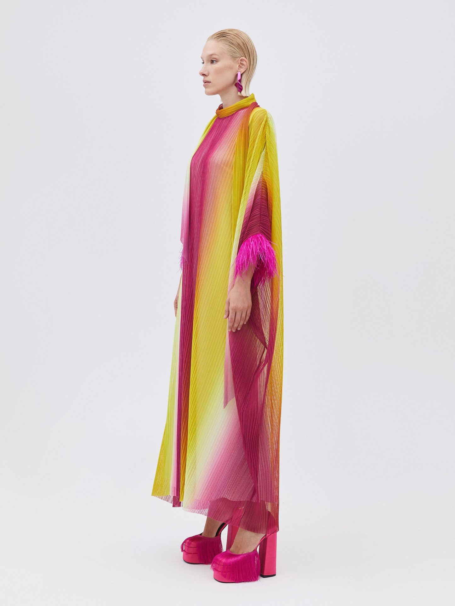 Multi Colored Pleated Dress