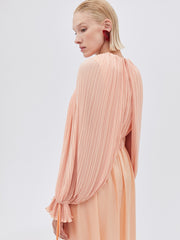 Pleated Sleeves Dress