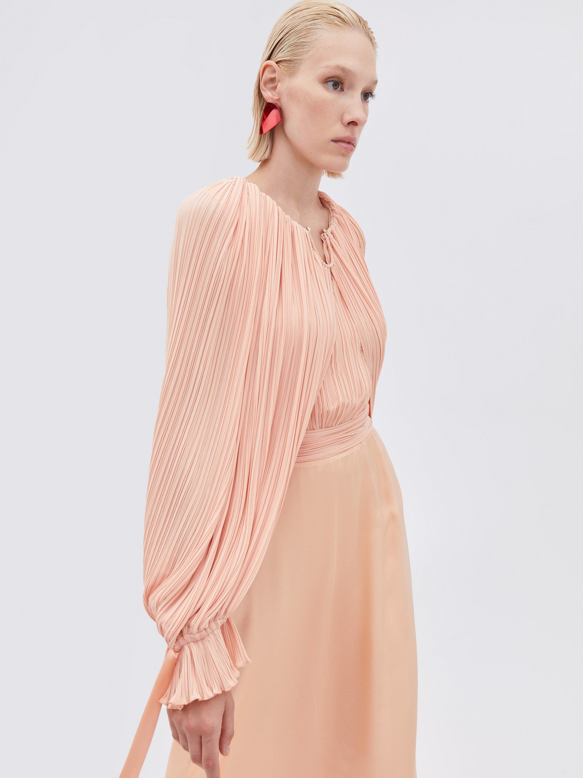 Pleated Sleeves Dress